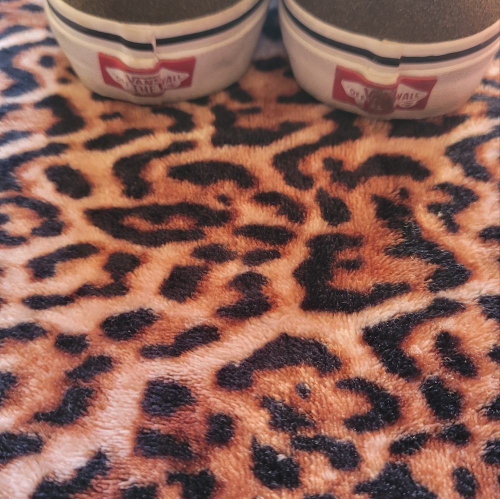 Vans - Picture 4 of 6